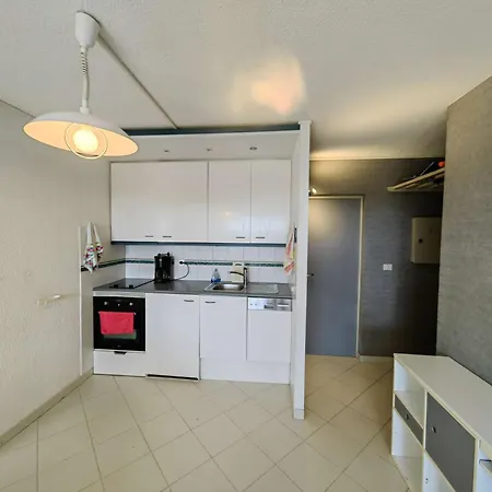 T2 Spacieux, Parking Prive, 20m De La Plage, Animaux Et Enfants Bienvenus - Fr-1-607-203 아파트 아그