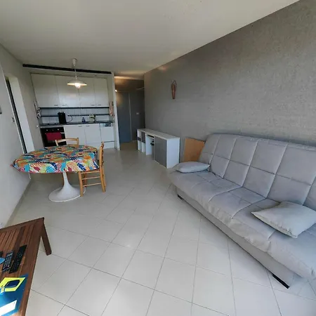 아파트 T2 Spacieux, Parking Prive, 20m De La Plage, Animaux Et Enfants Bienvenus - Fr-1-607-203