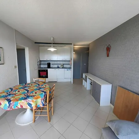 아파트 T2 Spacieux, Parking Prive, 20m De La Plage, Animaux Et Enfants Bienvenus - Fr-1-607-203 *